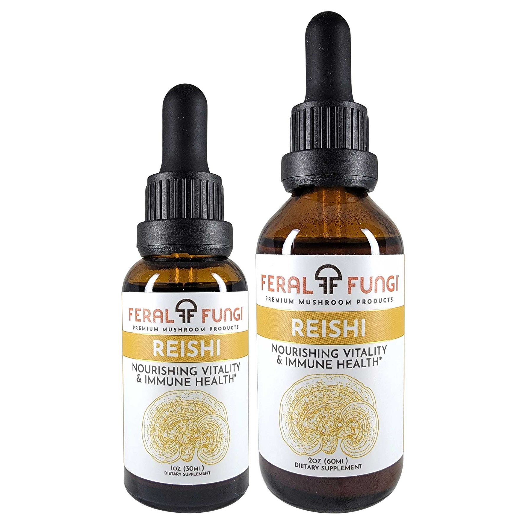 Reishi (Ganoderma lucidum)