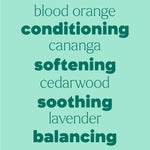 Shampoo Booster Essential Oil Blend