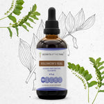 Solomon's Seal Tincture