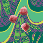 Hyaluronic Acid, Biotin & Baobab Superfood Gummies