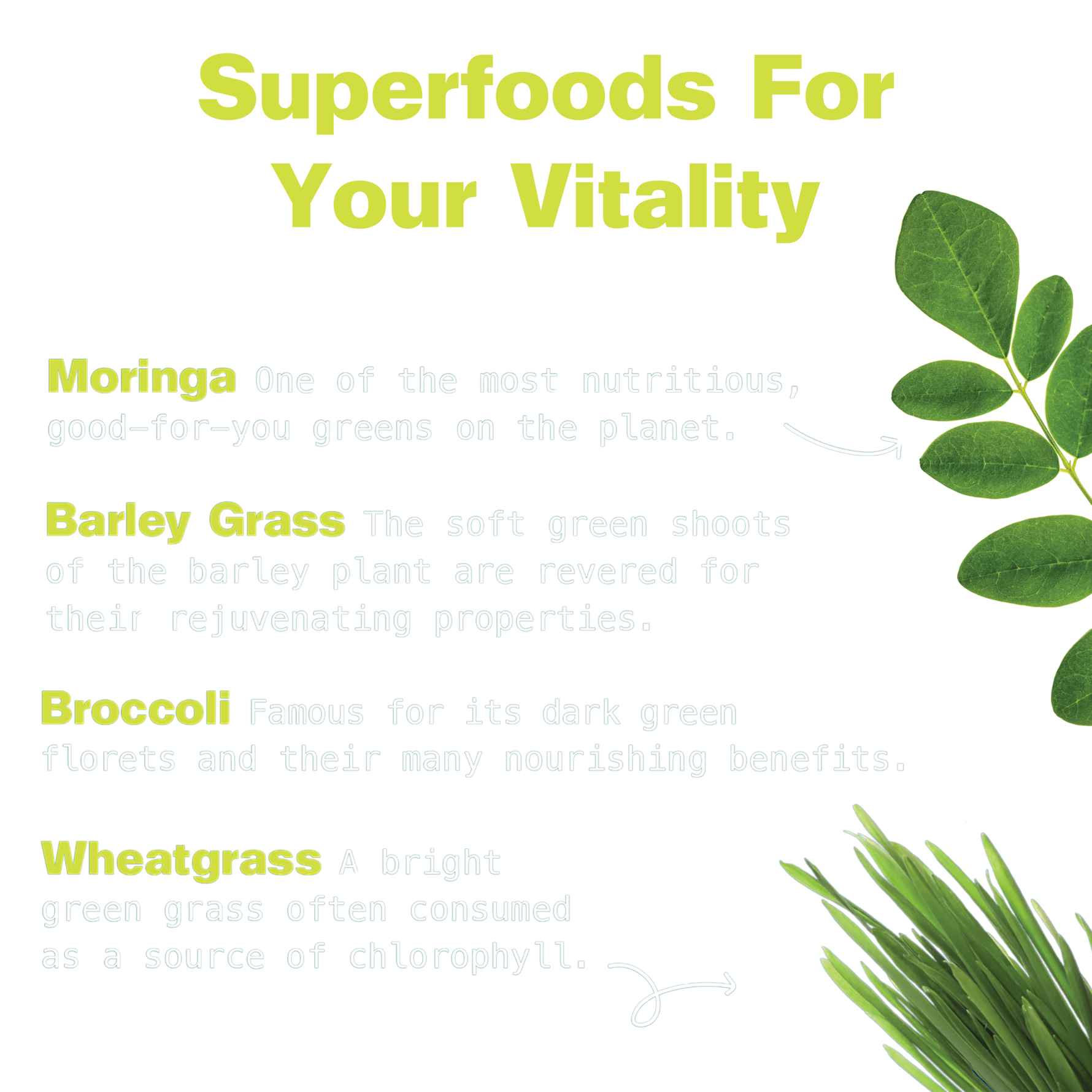 Super Greens Superfood Blend