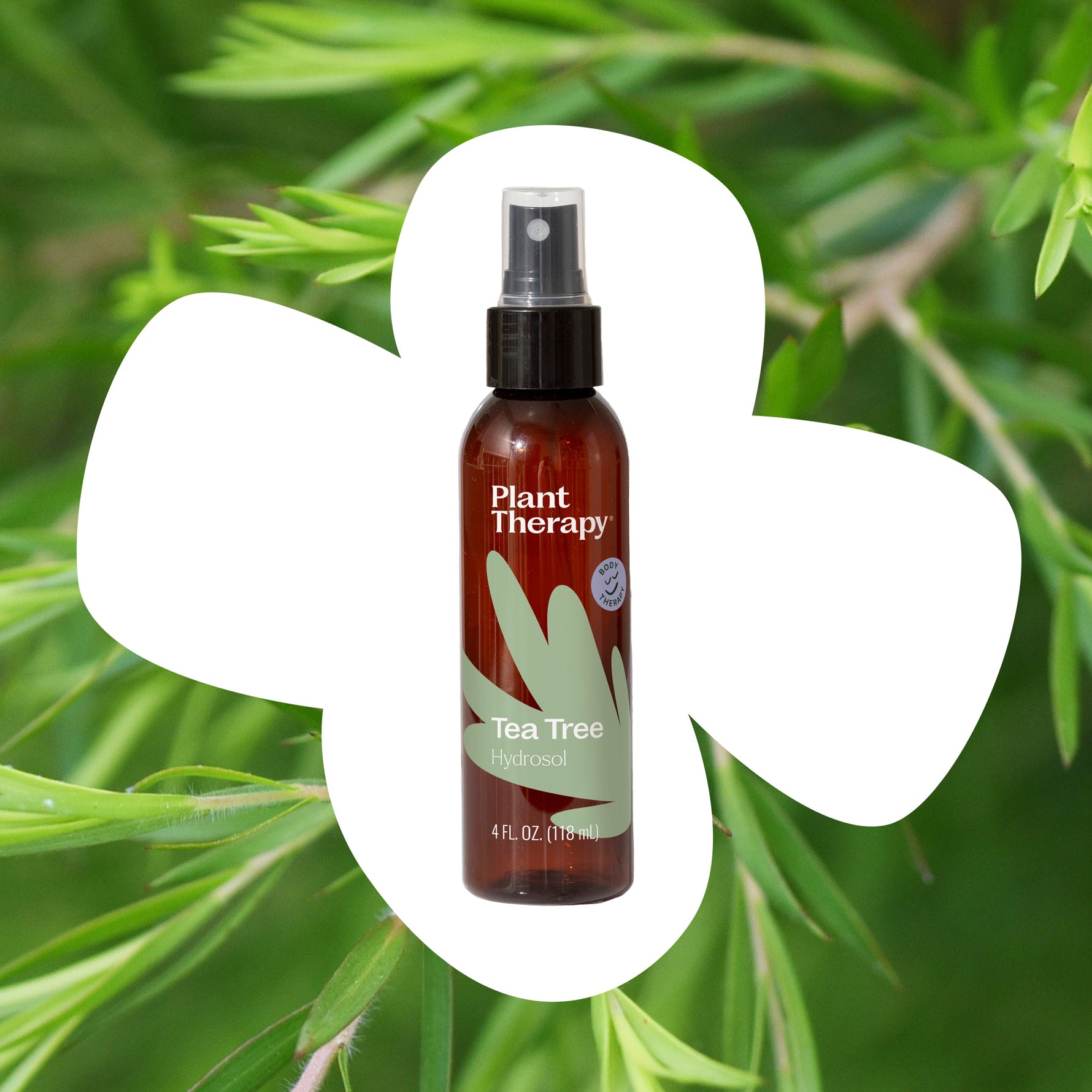 Tea Tree Hydrosol