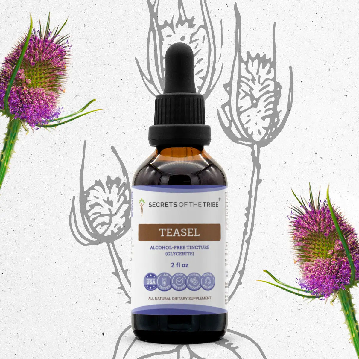 Teasel Tincture