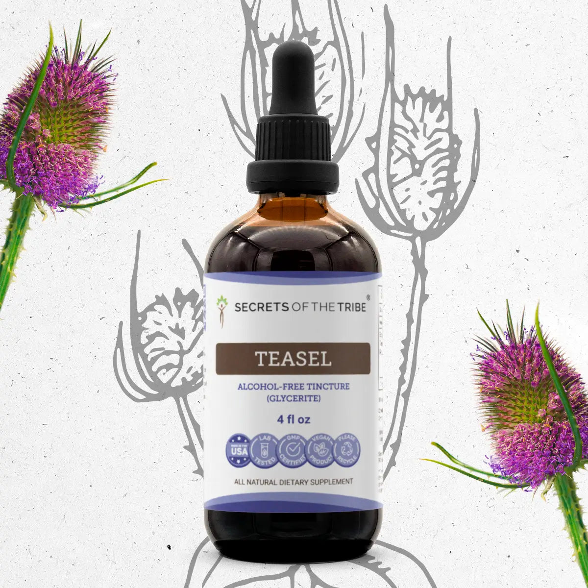 Teasel Tincture