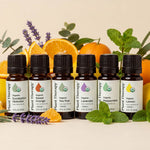 Top 6 Organic Singles Essential Oil Set