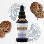 Turkey Tail Tincture