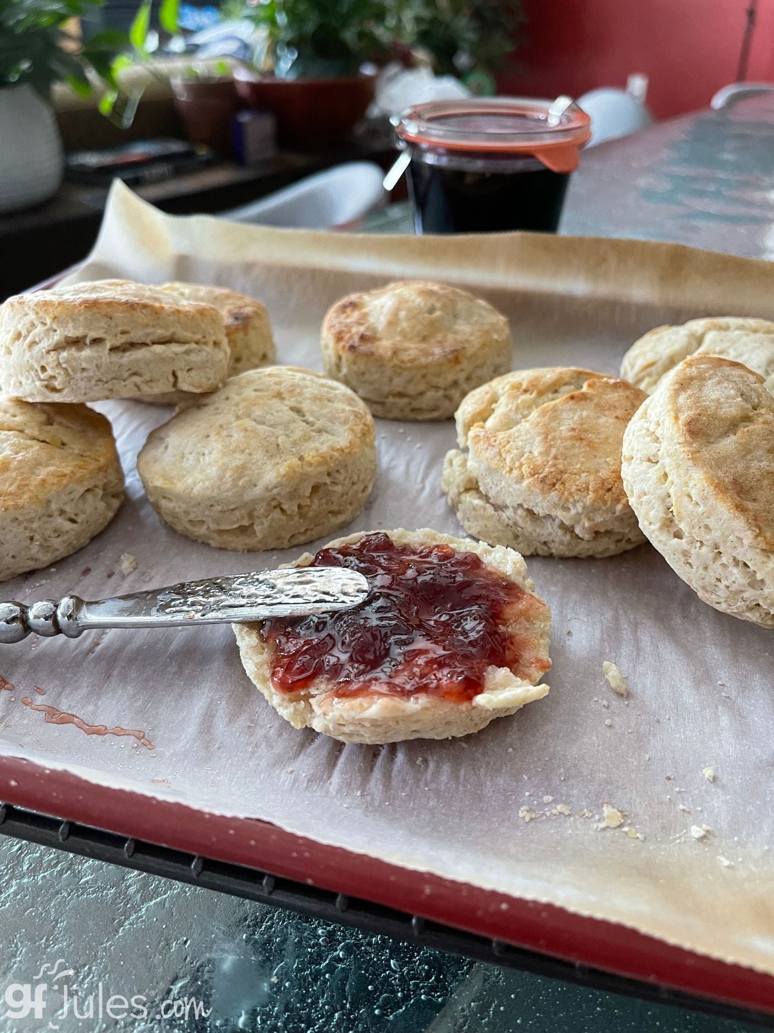 gfJules Gluten Free Corn-Free Multigrain Biscuit & Breakfast Baking Flour