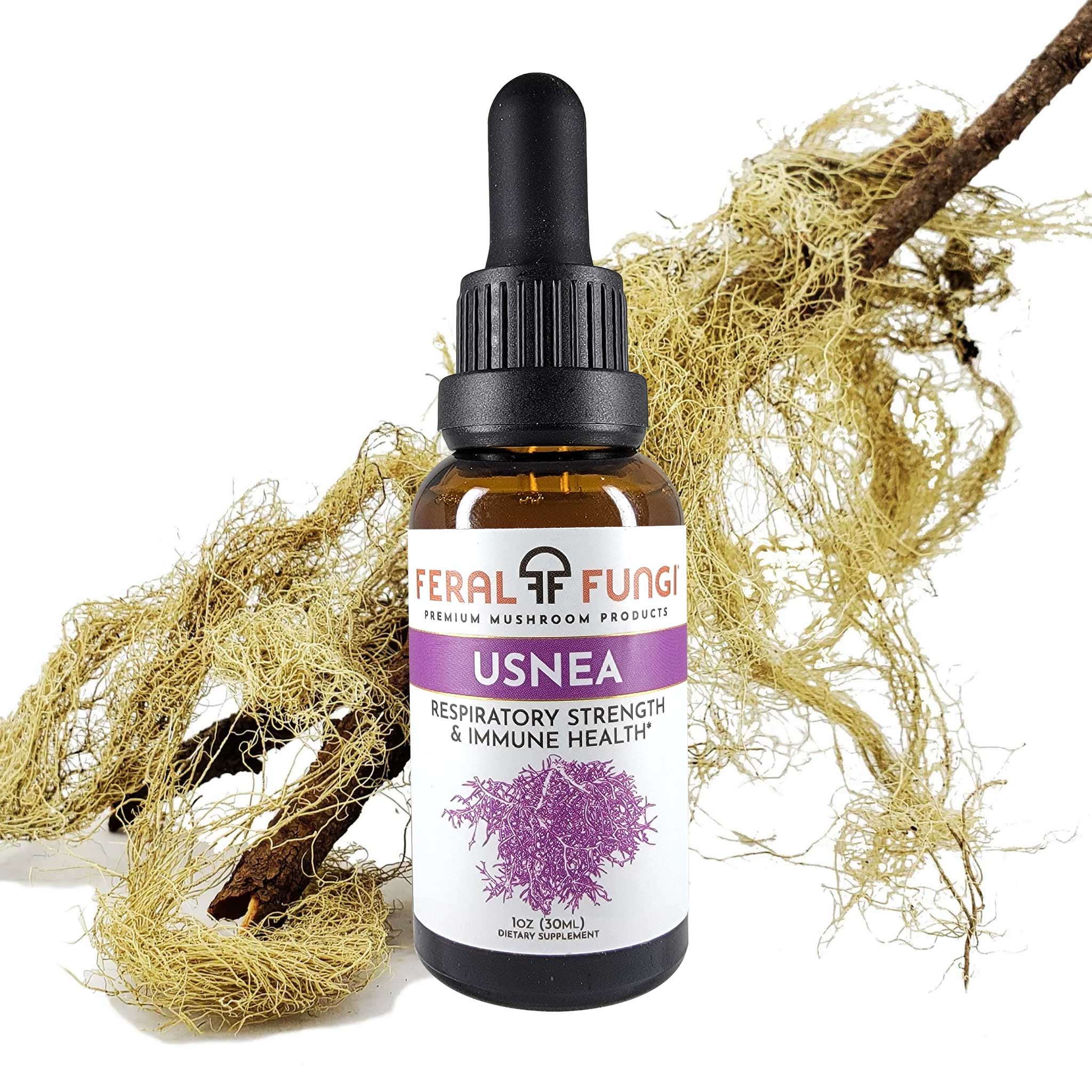 Usnea (Usnea longissima)
