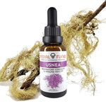 Usnea (Usnea longissima)