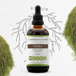 Usnea Tincture