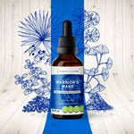 Warrior's Mane - Male Hair Growth Support