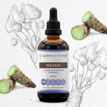 Wasabi Tincture