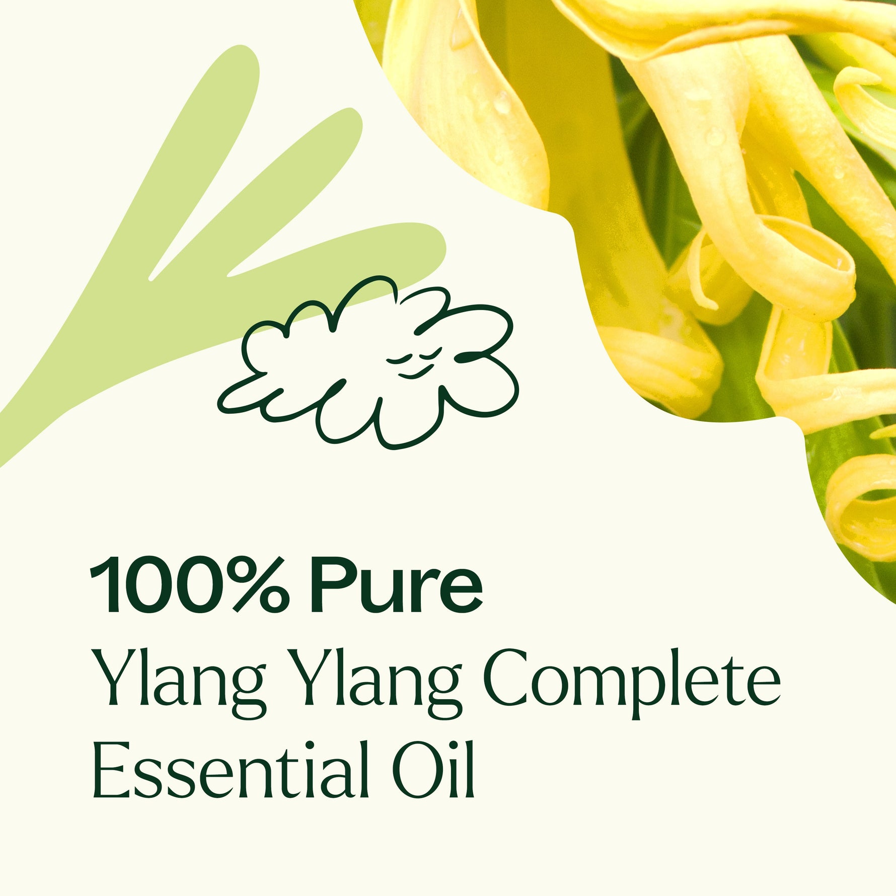 Ylang Ylang Complete Essential Oil