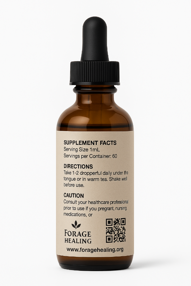 Birch Polypore Dual-Extraction 2oz Tincture – Wildcrafted & Potent