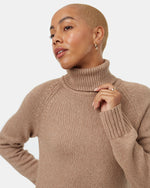 Highline Turtleneck Dress