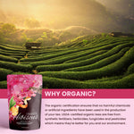 Cinnamon Hibiscus Tea, Antioxidant-Rich Herbal Blend | Organic