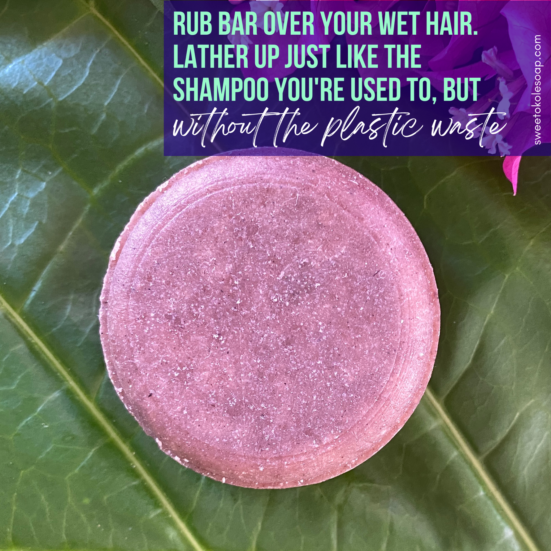 Lavender Clary Sage Solid Shampoo Bar with Ratanjot Root