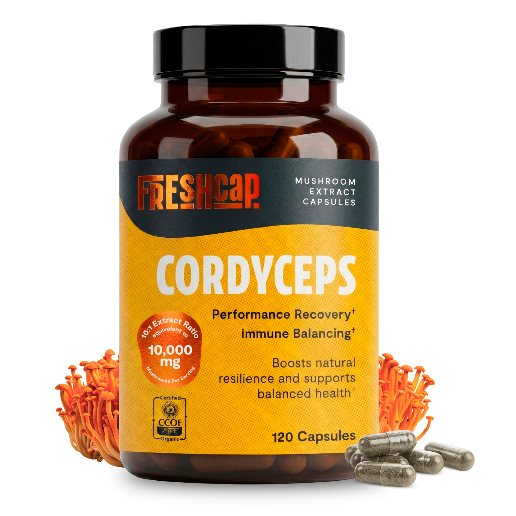 Organic Cordyceps Mushroom Supplement Capsules