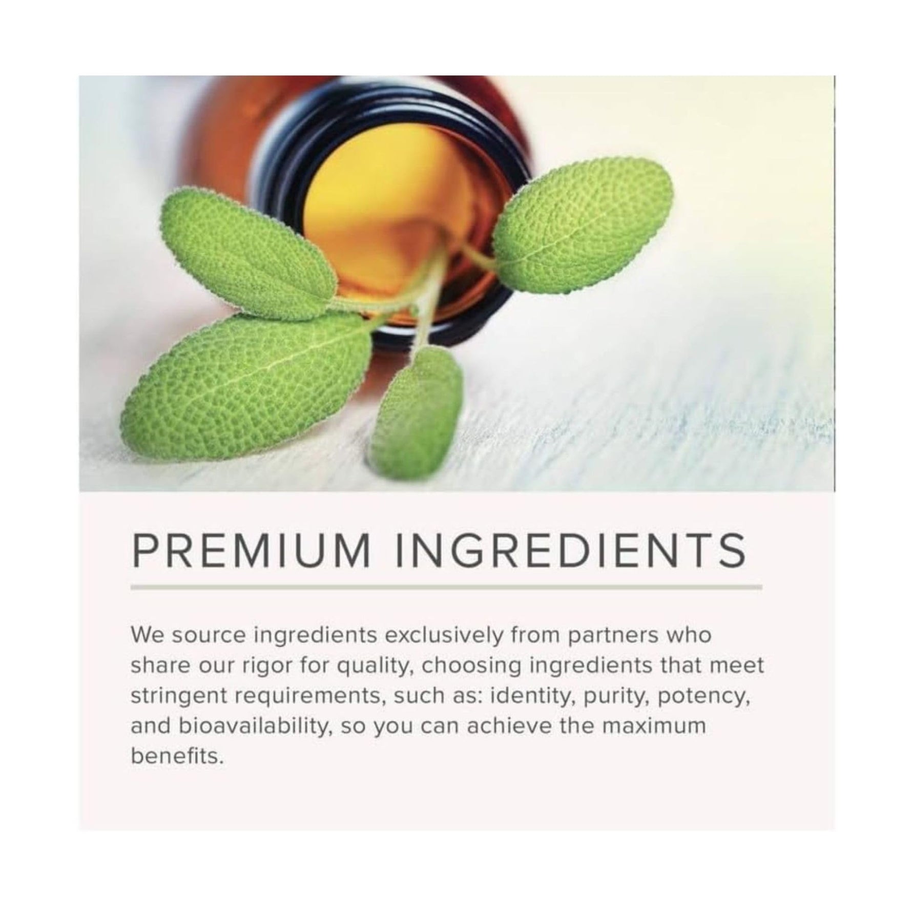 NusaPure Chlorophyll 200:1 Extract, 150 mg per Capsule 120 Vegetarian Caps (Non-GMO, Vegan)