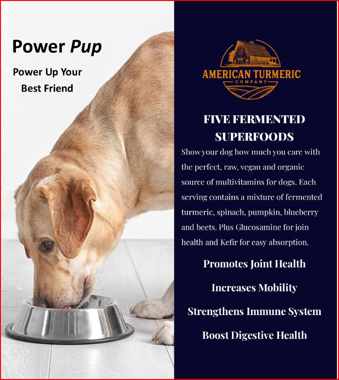 Power Pup Fermented Turmeric Powder for Dogs – Lead-Free, Superfood Meal Topper