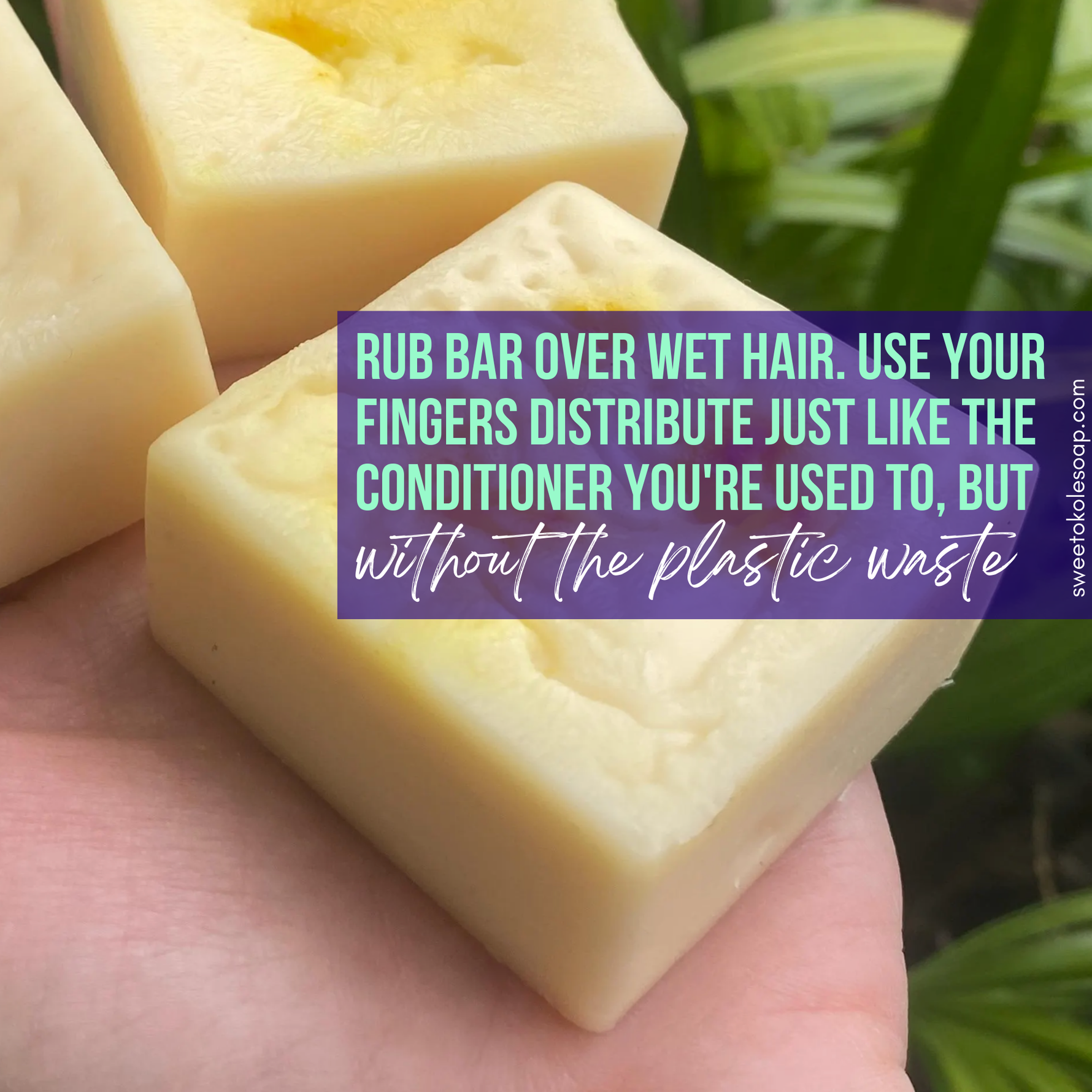 Essential Oil Conditioner Bar - Citrus Patchouli with Olena (Turmeric)