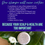 Natural Shampoo Bar Eucalyptus & Lime Essential Oils with Noni