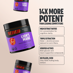 Organic Lion’s Mane Mushroom Powder