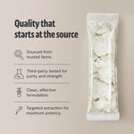 Organic Lion’s Mane Mushroom Powder