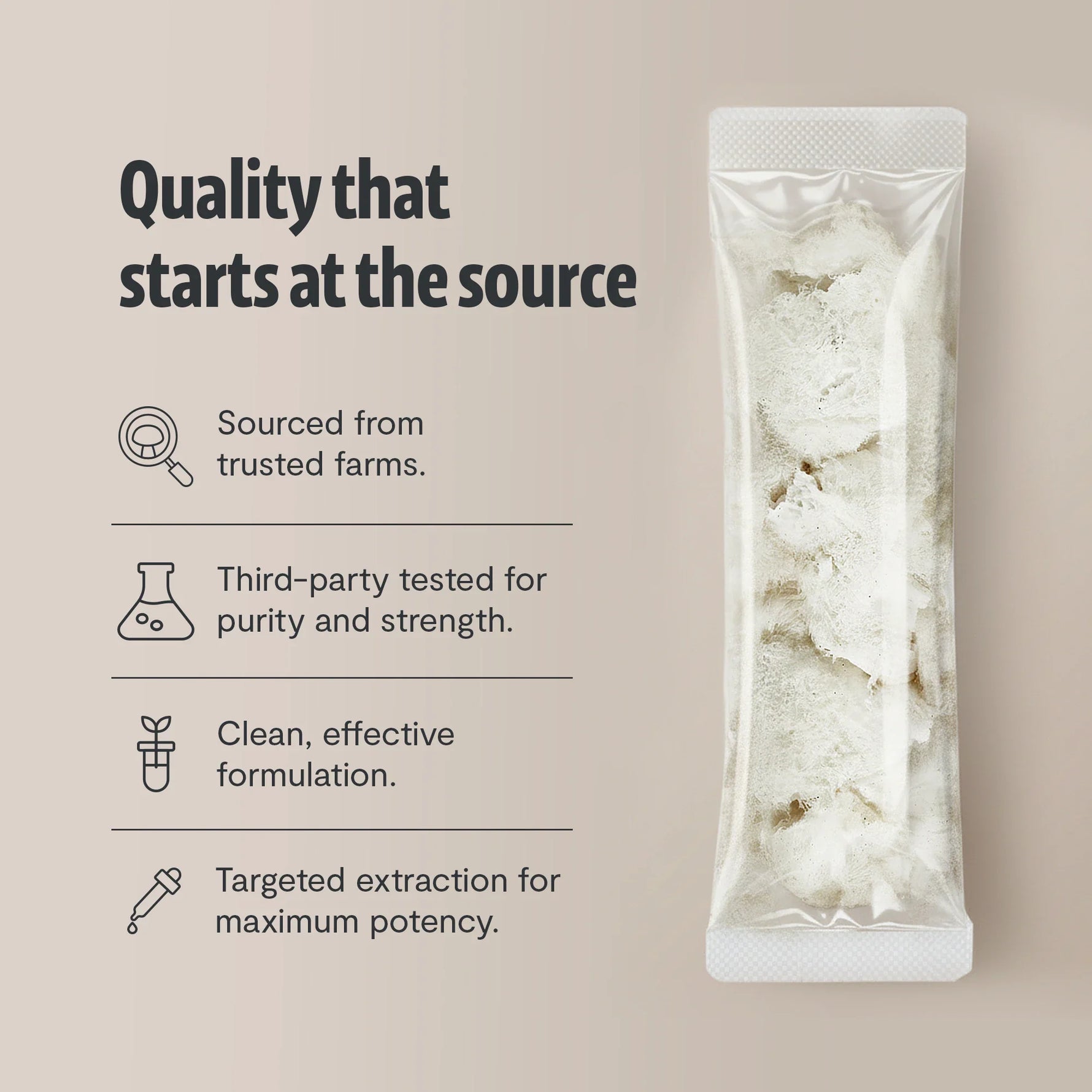 Organic Lion’s Mane Mushroom Powder