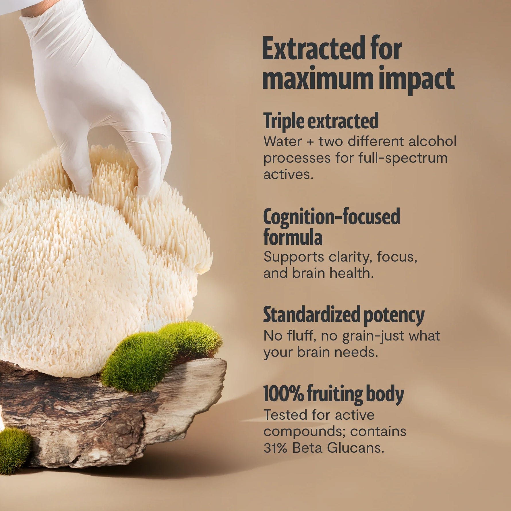Organic Lion’s Mane Mushroom Powder