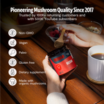 Organic Reishi Mushroom Powder
