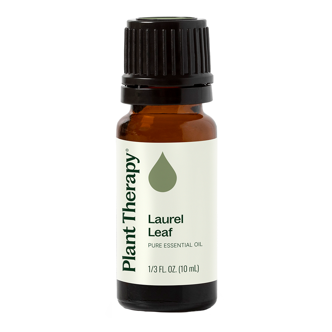 Laurel Leaf Essential Oil