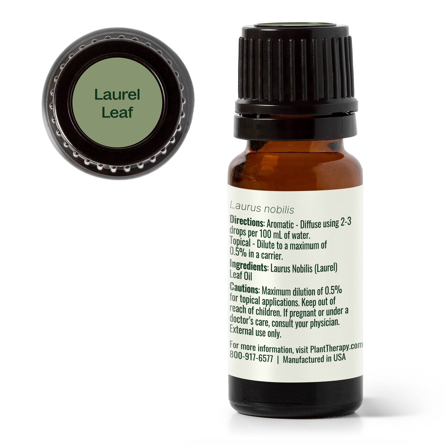Laurel Leaf Essential Oil
