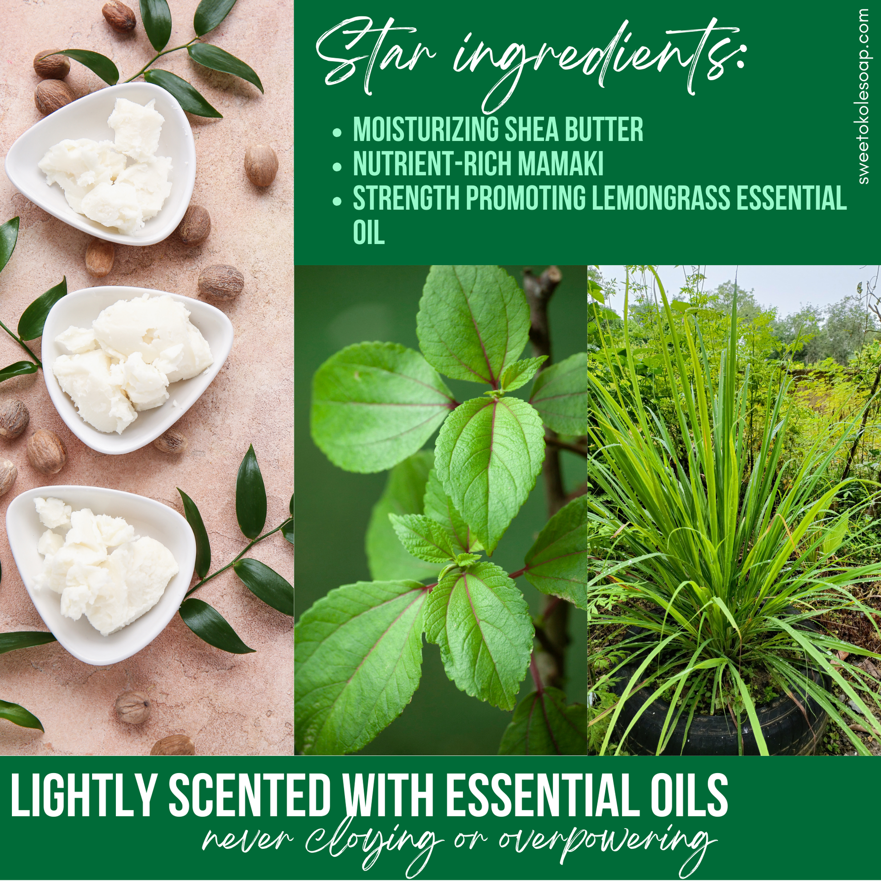 Conditioner Bar with Mamaki & Lemongrass Botanicals