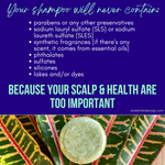 Non-Toxic Shampoo Bar - Rosemary, Mint & Moringa