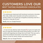 Forest Reserve™ Turkey Tail, Maitake, & Chaga Mushroom Chocolate Squares