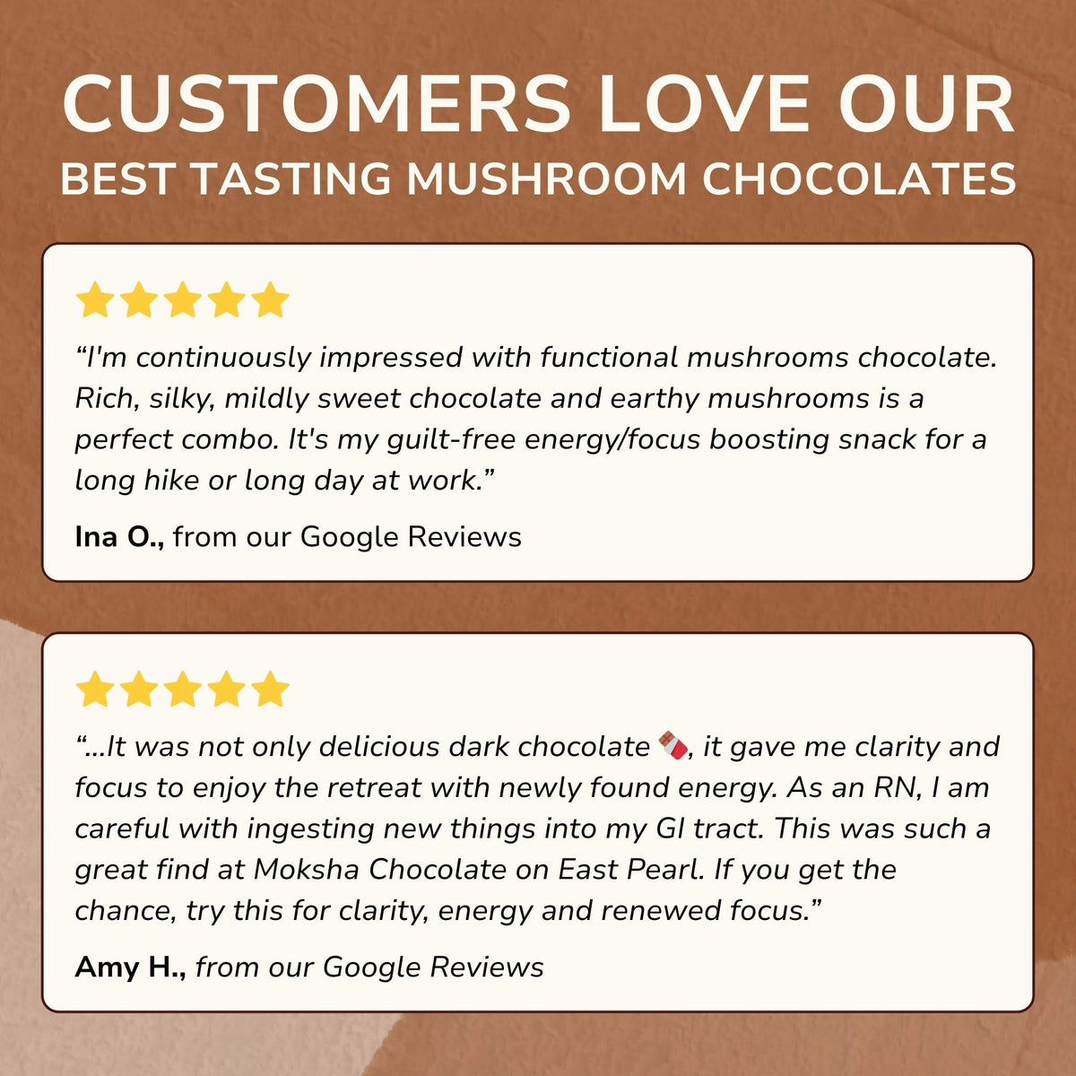Forest Reserve™ Turkey Tail, Maitake, & Chaga Mushroom Chocolate Squares