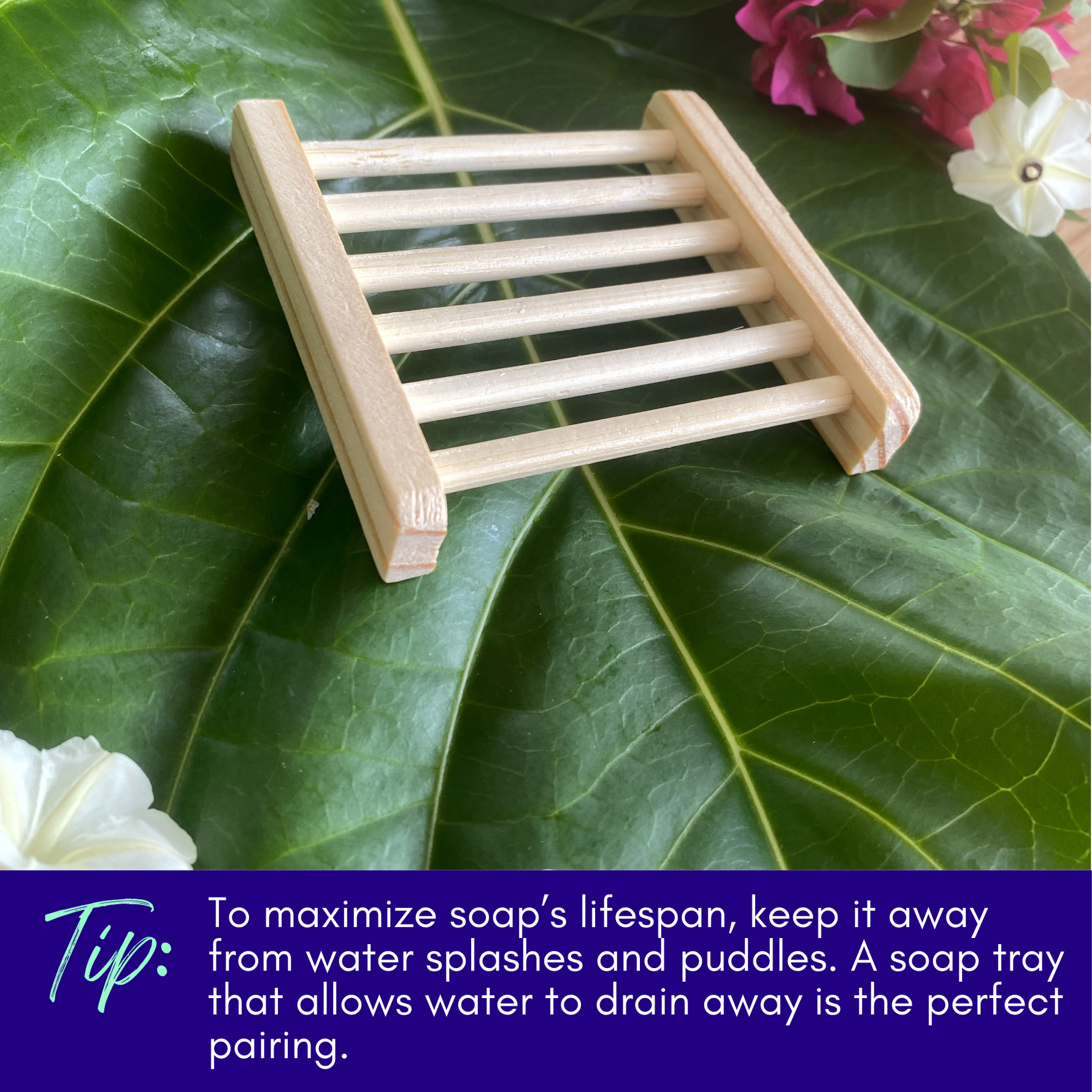 Lavender & Clary Sage Soap with Noni & Essential Oils