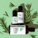 Organic Rosemary 1,8-Cineole Essential Oil