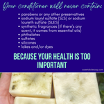 Non-Toxic Conditioner Bar w/ Rosemary, Mint & Moringa