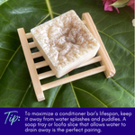 Natural Conditioner Bar - Eucalyptus & Lime Essential Oils with Noni