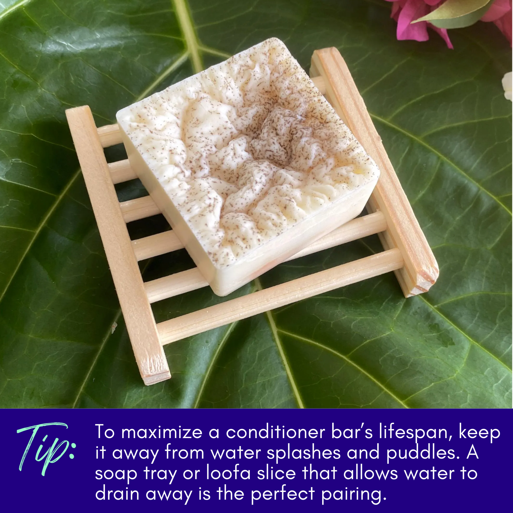 Natural Conditioner Bar - Eucalyptus & Lime Essential Oils with Noni