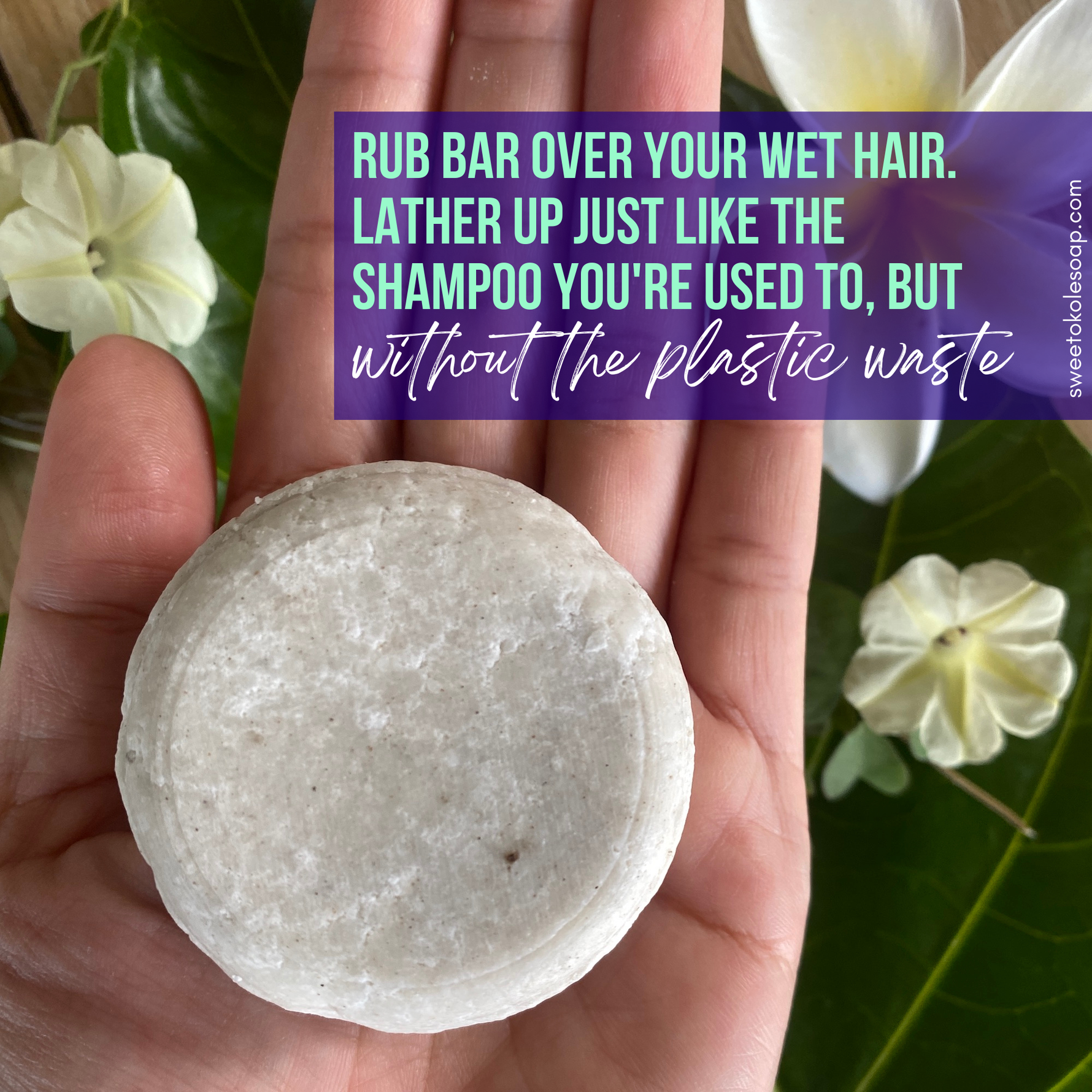 Natural Shampoo Bar Eucalyptus & Lime Essential Oils with Noni