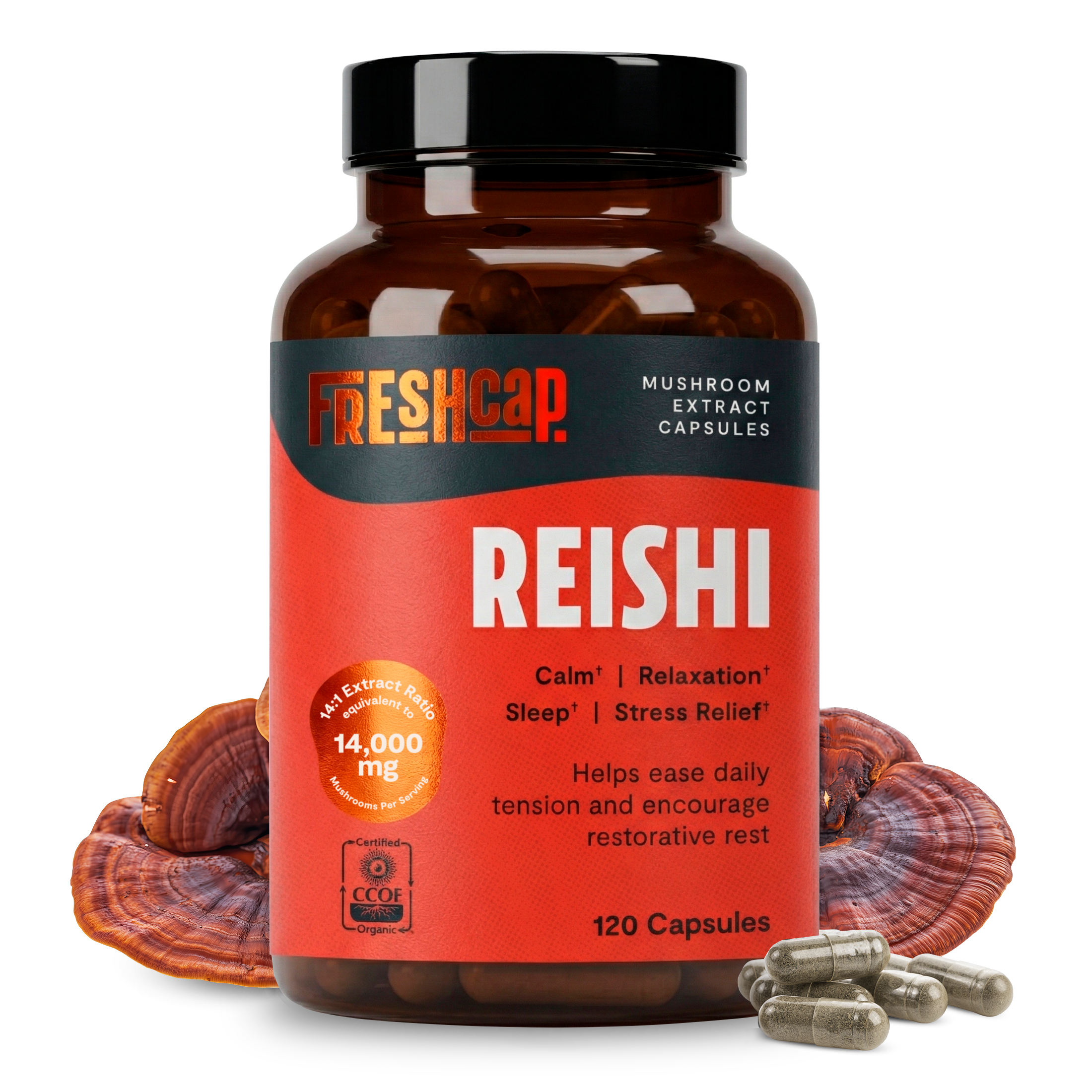 Organic Reishi Mushroom Capsules
