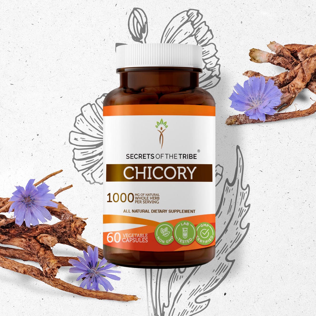 Chicory Capsules
