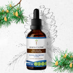 Pine Pollen Testosterone Tincture
