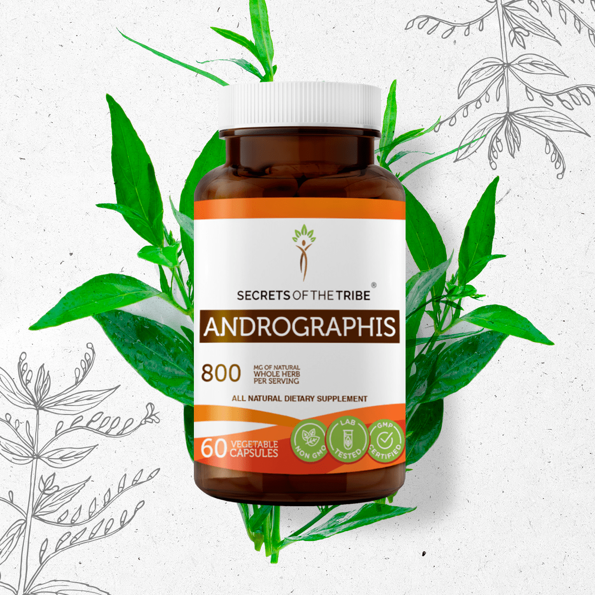 Andrographis Capsules