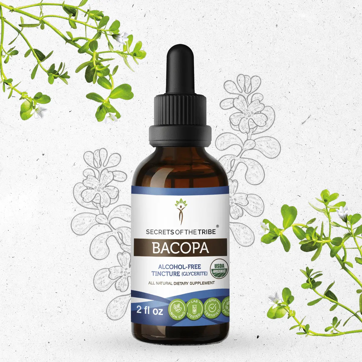 Bacopa Tincture