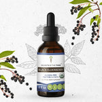 Black Elderberry Tincture