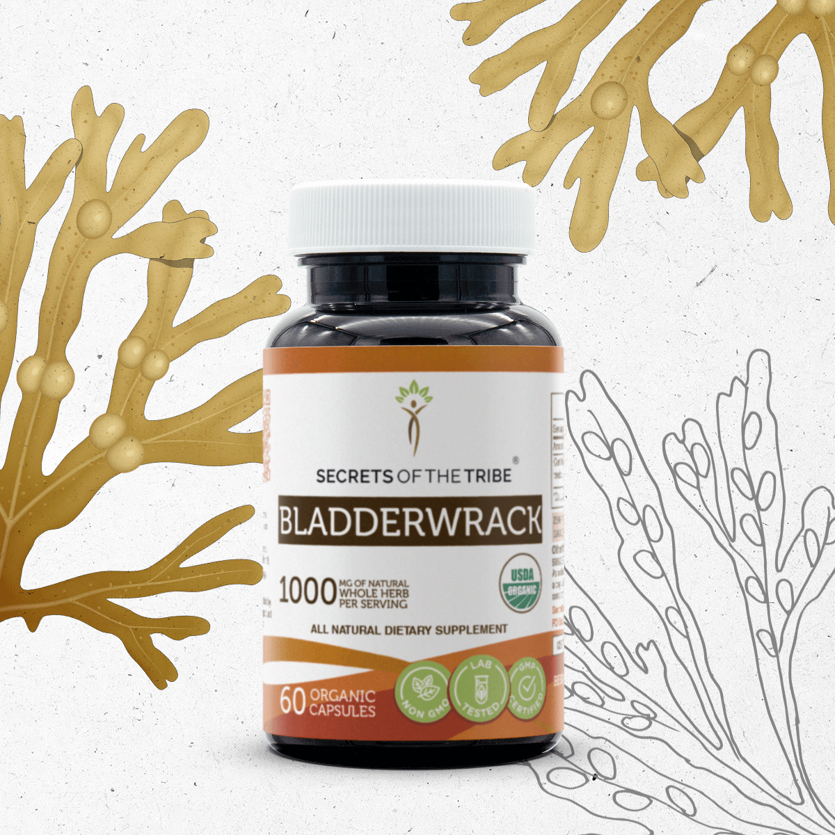 Bladderwrack Capsules